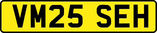 VM25SEH