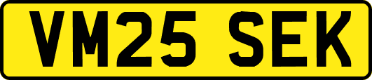 VM25SEK