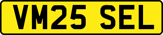 VM25SEL