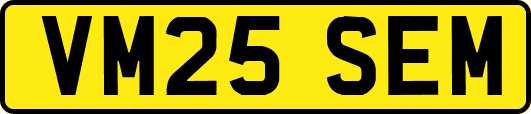 VM25SEM