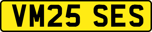 VM25SES