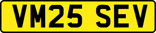 VM25SEV
