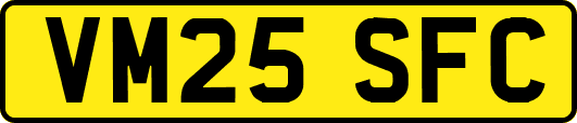 VM25SFC