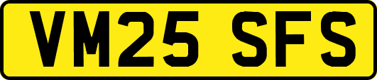 VM25SFS