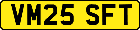 VM25SFT