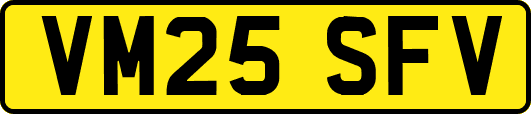 VM25SFV