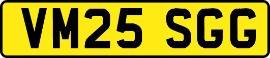VM25SGG