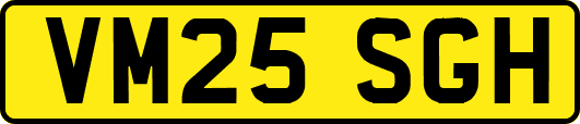 VM25SGH