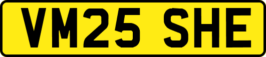 VM25SHE