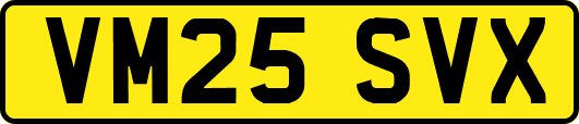 VM25SVX