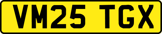 VM25TGX