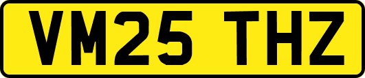 VM25THZ