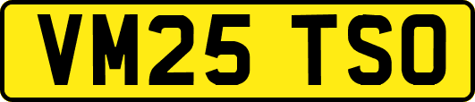 VM25TSO