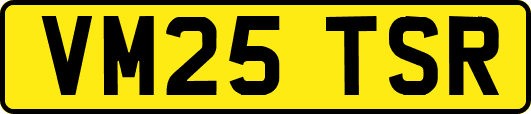 VM25TSR