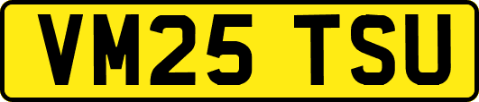VM25TSU