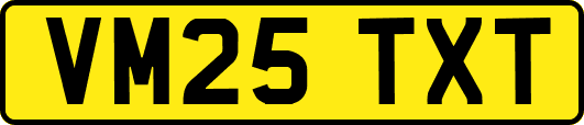VM25TXT