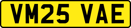 VM25VAE