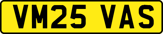 VM25VAS