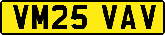 VM25VAV