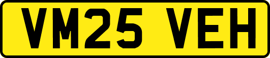 VM25VEH