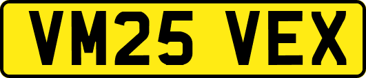 VM25VEX