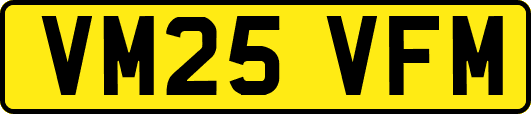 VM25VFM