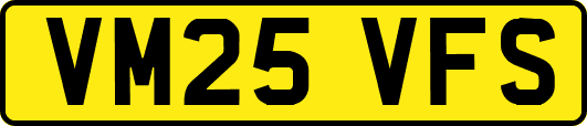 VM25VFS