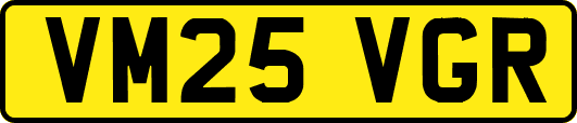 VM25VGR