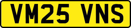 VM25VNS