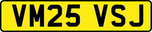 VM25VSJ