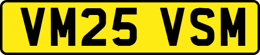 VM25VSM
