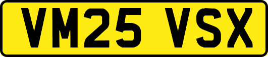 VM25VSX