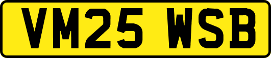 VM25WSB