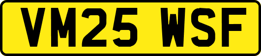 VM25WSF