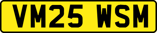 VM25WSM