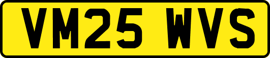 VM25WVS