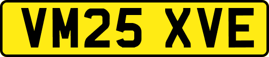 VM25XVE