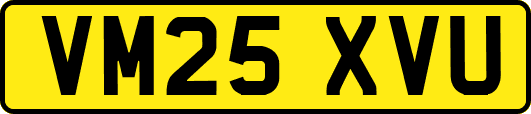 VM25XVU
