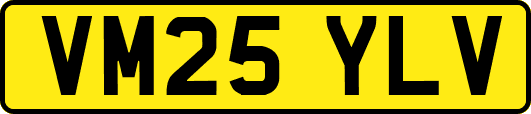 VM25YLV