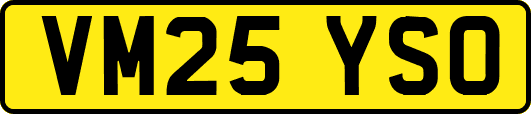 VM25YSO