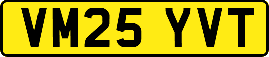 VM25YVT