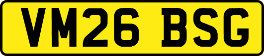 VM26BSG