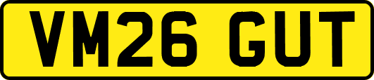 VM26GUT