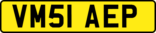 VM51AEP