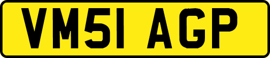 VM51AGP