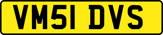VM51DVS
