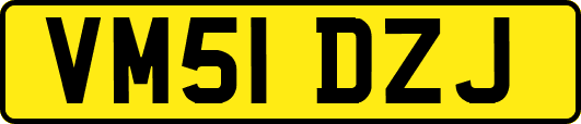 VM51DZJ