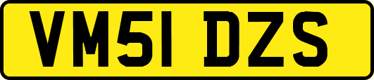 VM51DZS