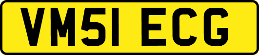 VM51ECG