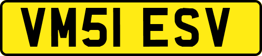 VM51ESV